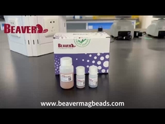BeaverBeads 자석 진주 1um 화학 광광 세포 정렬 탐사 C