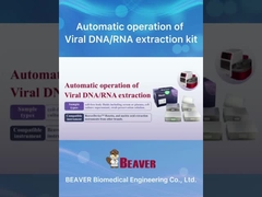 BeaverBeadsTM 핵산 추출 및 정화 키트 추출에 대한 자기 진주 방법