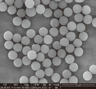 품질  1μm 10 mg / mL 50 mL Carboxylated Magnetic Beads For Immunodiagnosis 공장