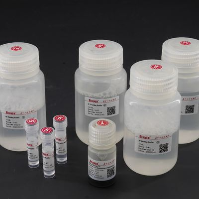 품질  10 mg / mL Protein A  Magnetic Beads For Immunoprecipitation 100 Reactions 공장