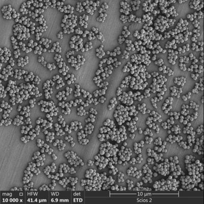 품질  2.8μm Streptavidin Magnetic Beads For Chemiluminescence Cell Sorting 공장