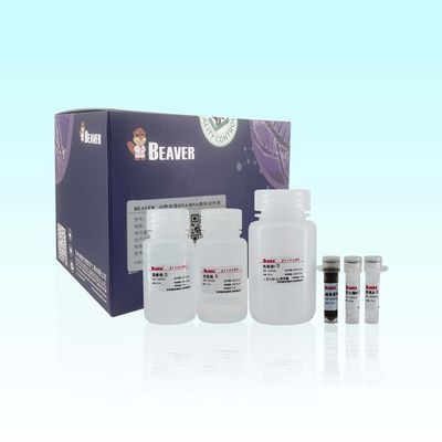 자동화되고 높은 처리량을 위한 100개 르크스스 비버비드스 동물 바이러스 dna RNA 장비