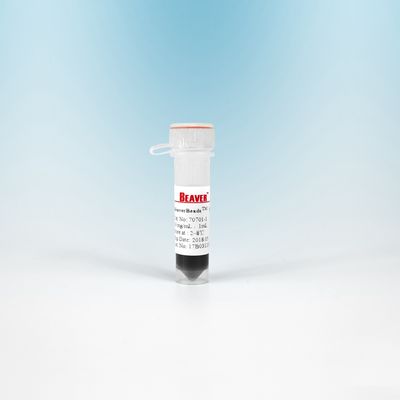 더 높은 민감도와 셀 격리를 위한 10 ML 비버비드스 자석 비즈 NHS 300 Nm