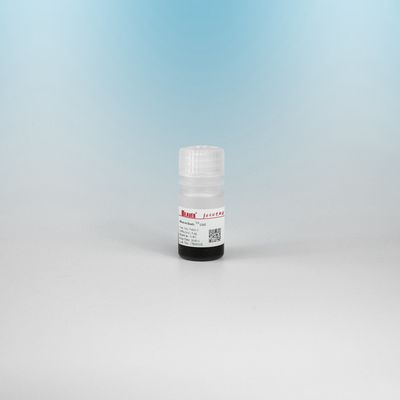 BEAVER GST 융합 단백질 정화 분자 GSH 자기 분자 단백질 정화 새로운 기능 재료 설계 GSH 키트 GST 단백질 정화