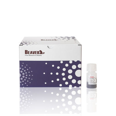 50% 부피 비율 10 ml 아가로스 OH 마그베이드 단백질 정화 핵산 추출 및 정화