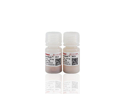 100ml BeaverBeads IDA-Co 높은 처리량과 저렴한 비용 30-150um 10% 농도