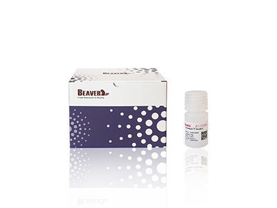 마그 OH 자기 구슬 DNA 추출 실리카 자기 구슬 Fe3O4 1μm 10 mg / mL 50 mL