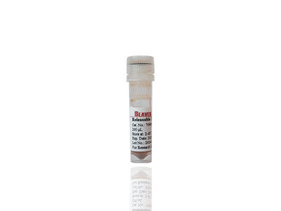 마그 OH 자기 구슬 DNA 추출 실리카 자기 구슬 Fe3O4 1μm 10 mg / mL 50 mL