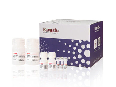 100 Rxns BeaverHead 동물 바이러스 DNA RNA 키트 자동화 및 높은 처리량