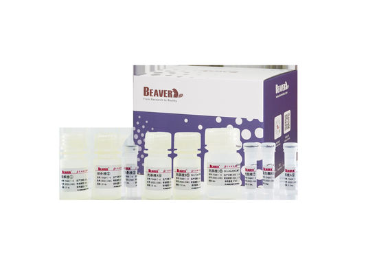 BeaverBeadsTM 폐수 핵산 추출 키트 환경 테스트