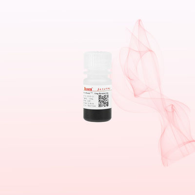 비버 빔 1um/2um/5um/300nm/2.8um/3um 스트레프타비딘 자기 빔 화학 발광 및 핵산 검출