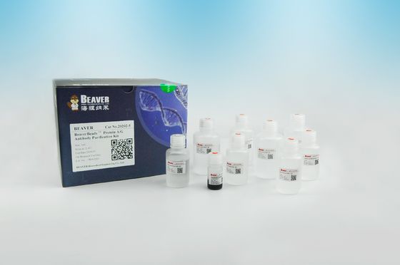 단백질 A/G 항체 자석 비즈 단백질 정제 2μm 30 마그네슘 / mL 5 mL