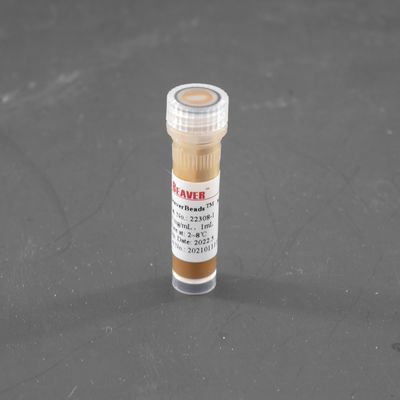 세포 분리 탐침 캡쳐 10 마그네슘 / mL 1 mL을 위한 300nm 스트렙트아비딘 자기 비드