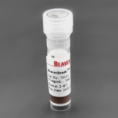 단백질 추출 PC를 위한 300nm 50 마그네슘 / mL 1 mL 실리카 자석 비즈
