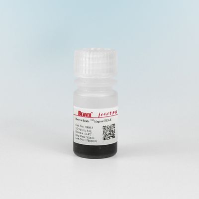 아가로제 DEAE 자석 비즈 단백질 정제 30-150 μm 10% 부피 비 5 mL