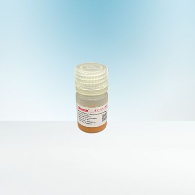 비오틴이 부착된 이그그 5 mL을 위한 10-30μm 아그로스 스트렙트아비딘 자기 비드 20%